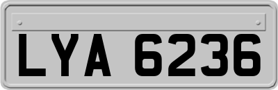 LYA6236