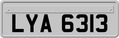 LYA6313