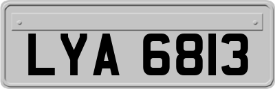 LYA6813