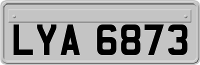 LYA6873