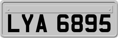 LYA6895