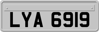 LYA6919