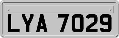 LYA7029