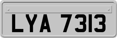 LYA7313