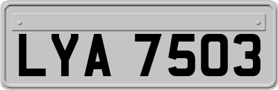 LYA7503