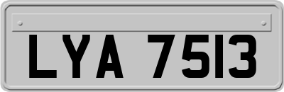 LYA7513