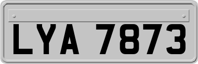 LYA7873