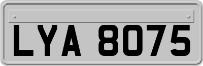 LYA8075