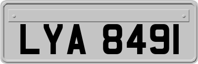 LYA8491