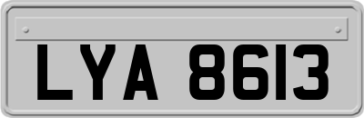 LYA8613