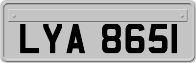 LYA8651
