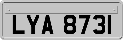 LYA8731