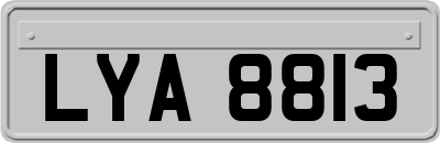 LYA8813