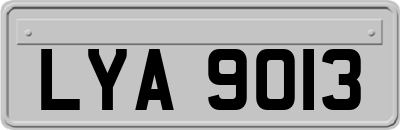LYA9013