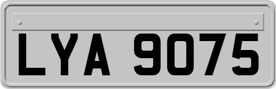 LYA9075