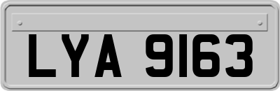LYA9163