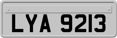 LYA9213
