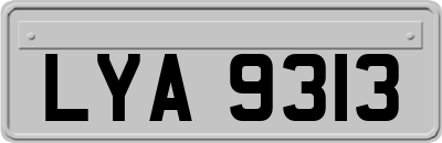 LYA9313