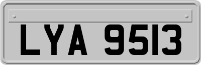 LYA9513