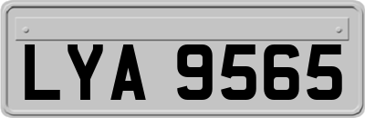 LYA9565