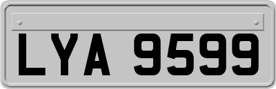 LYA9599
