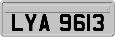 LYA9613