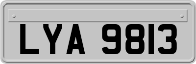 LYA9813