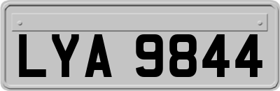 LYA9844