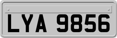 LYA9856