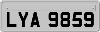 LYA9859