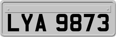 LYA9873