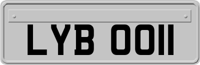LYB0011