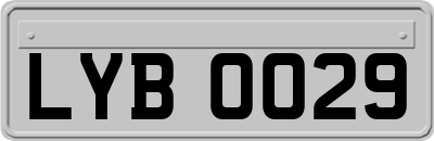 LYB0029