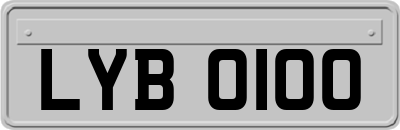 LYB0100