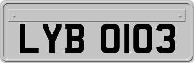 LYB0103