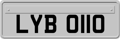 LYB0110