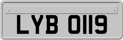 LYB0119