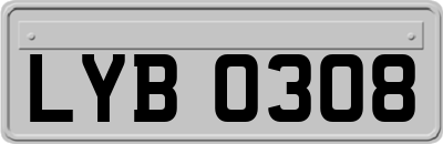LYB0308