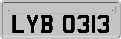 LYB0313