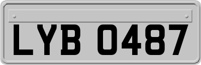 LYB0487