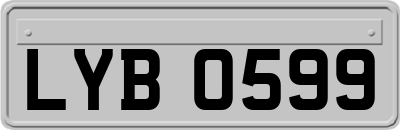LYB0599