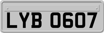 LYB0607