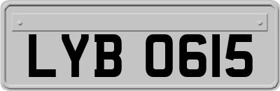 LYB0615