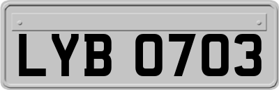 LYB0703