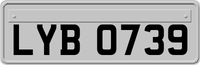 LYB0739