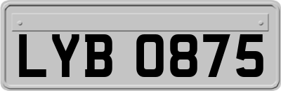 LYB0875