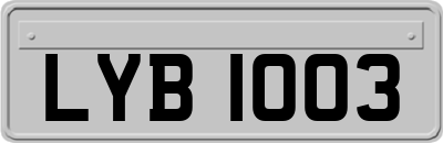 LYB1003