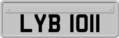 LYB1011