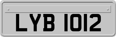 LYB1012