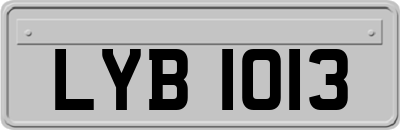 LYB1013